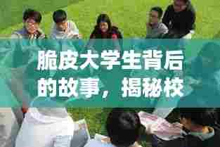 脆皮大学生背后的故事,揭秘校园生活的真实面貌