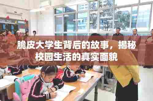 脆皮大学生背后的故事,揭秘校园生活的真实面貌