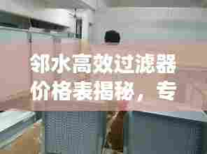 邻水高效过滤器价格表揭秘,专业探讨与优质选择