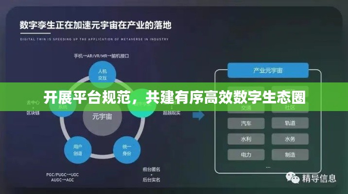 开展平台规范,共建有序高效数字生态圈