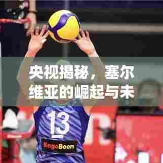 央视揭秘，塞尔维亚的崛起与未来展望深度分析