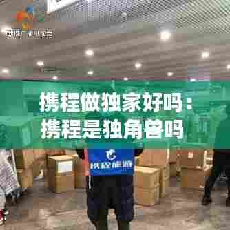 携程做独家好吗：携程是独角兽吗 