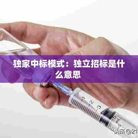 独家中标模式:独立招标是什么意思