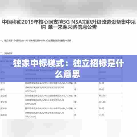 独家中标模式:独立招标是什么意思