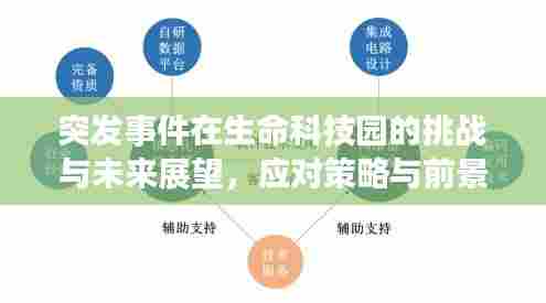 突发事件在生命科技园的挑战与未来展望,应对策略与前景分析