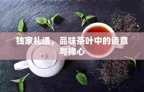 独家礼遇,品味茶叶中的诗意与禅心
