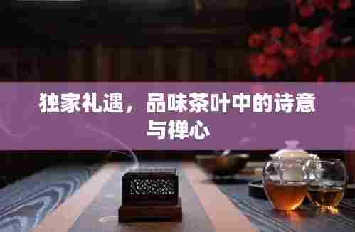 独家礼遇，品味茶叶中的诗意与禅心