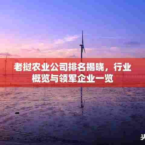 老挝农业公司排名揭晓,行业概览与领军企业一览