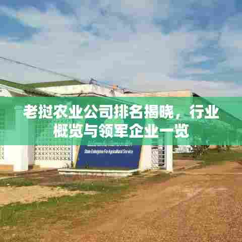老挝农业公司排名揭晓,行业概览与领军企业一览