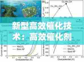 新型高效催化技术:高效催化剂的定义