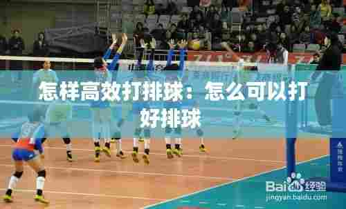 怎样高效打排球：怎么可以打好排球 