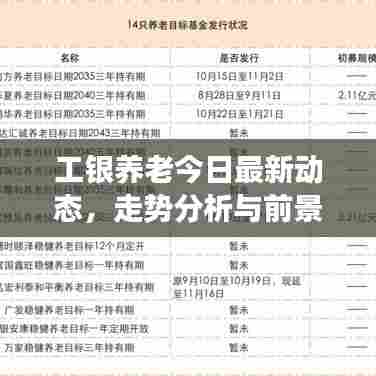 工银养老今日最新动态,走势分析与前景展望