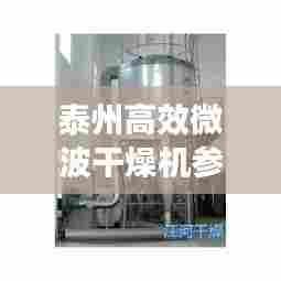 泰州高效微波干燥机参数：微波干燥机的结构 