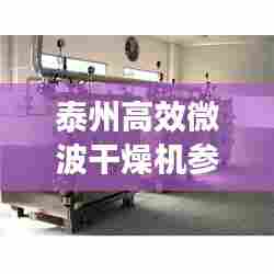 泰州高效微波干燥机参数:微波干燥机的结构