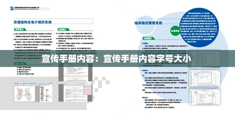 宣传手册内容：宣传手册内容字号大小 