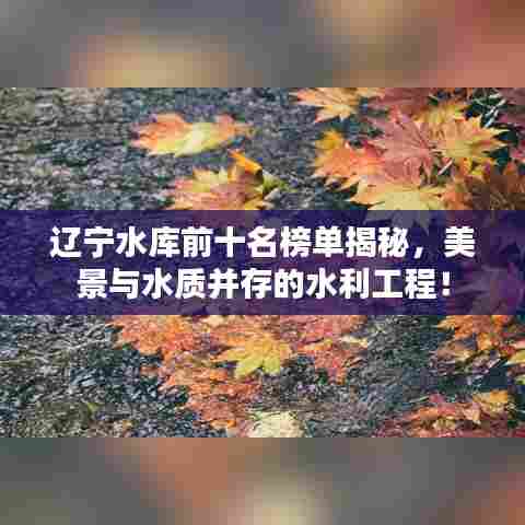 不求甚解 第6页