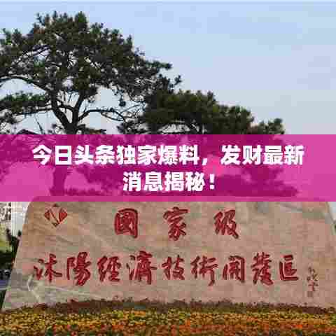 今日头条独家爆料,发财最新消息揭秘!