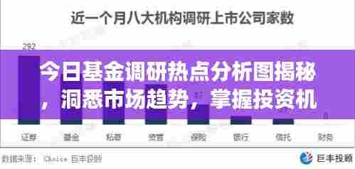 今日基金调研热点分析图揭秘,洞悉市场趋势,掌握投资机会!