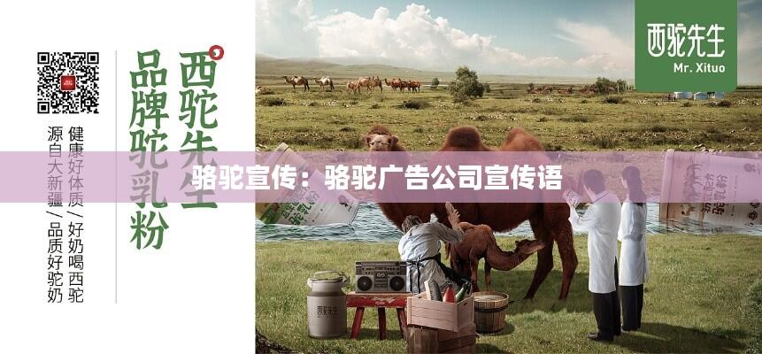 骆驼宣传：骆驼广告公司宣传语 