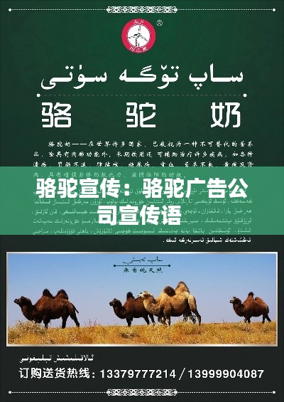 骆驼宣传:骆驼广告公司宣传语