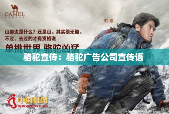 骆驼宣传:骆驼广告公司宣传语