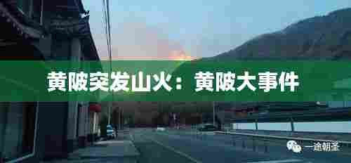 黄陂突发山火：黄陂大事件 