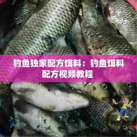 钓鱼独家配方饵料:钓鱼饵料配方视频教程