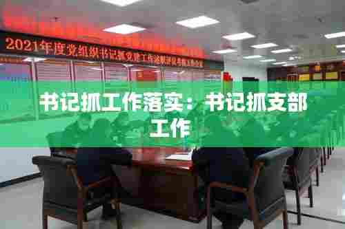 书记抓工作落实：书记抓支部工作 