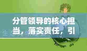 分管领导的核心担当,落实责任,引领前行!