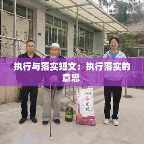 执行与落实短文:执行落实的意思