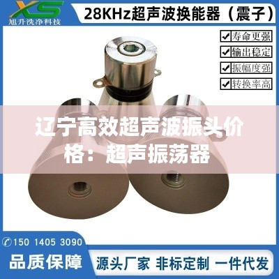 辽宁高效超声波振头价格:超声振荡器