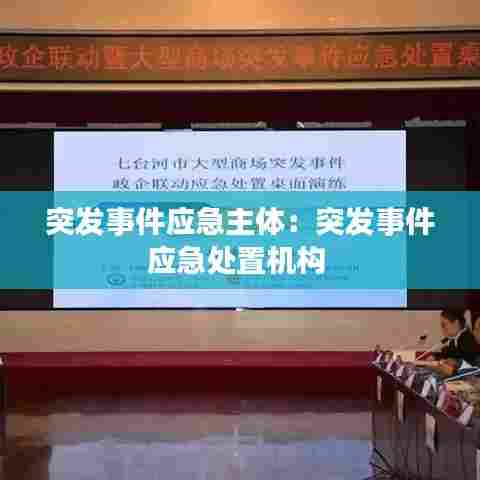 突发事件应急主体：突发事件应急处置机构 