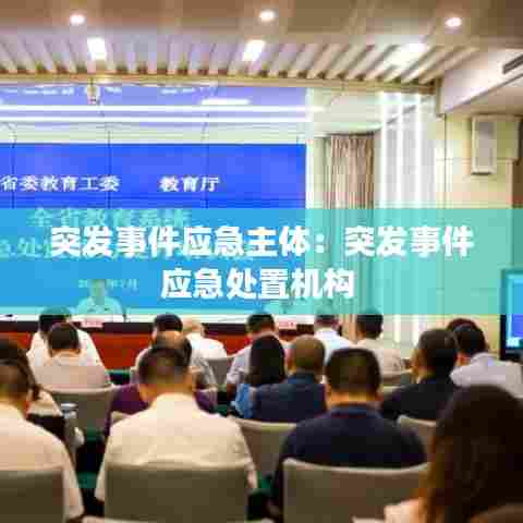 突发事件应急主体:突发事件应急处置机构