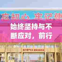 始终坚持与不断应对,前行路上的双翼探索