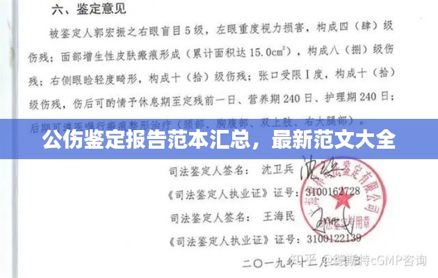 公伤鉴定报告范本汇总，最新范文大全