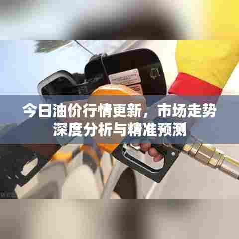 今日油价行情更新，市场走势深度分析与精准预测