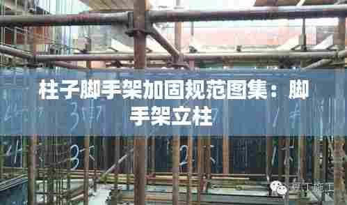 柱子脚手架加固规范图集：脚手架立柱 
