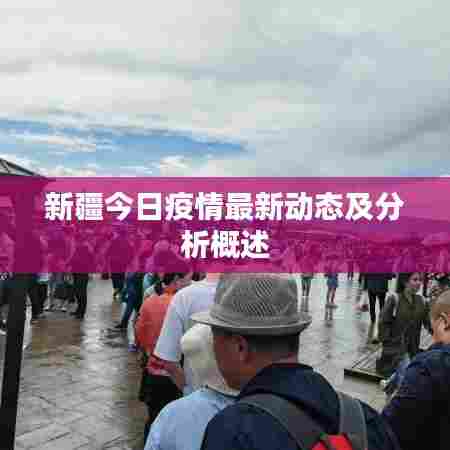 新疆今日疫情最新动态及分析概述