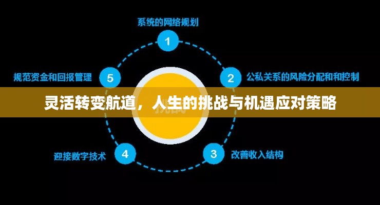 灵活转变航道,人生的挑战与机遇应对策略