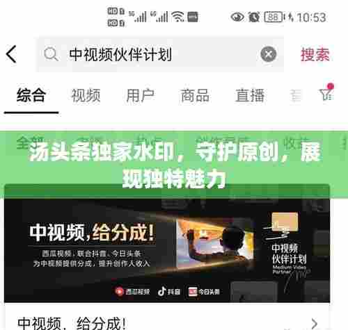 汤头条独家水印，守护原创，展现独特魅力