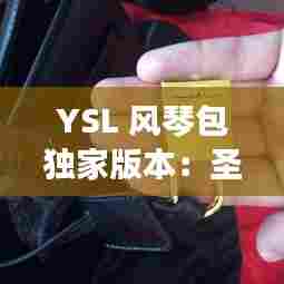 YSL 风琴包独家版本:圣罗兰风琴包有哪几种颜色