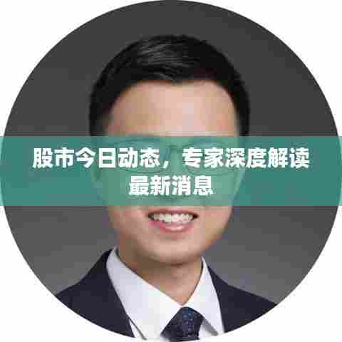 股市今日动态,专家深度解读最新消息