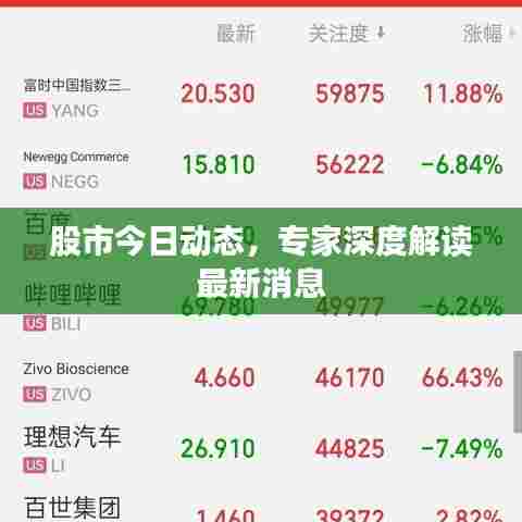 股市今日动态，专家深度解读最新消息
