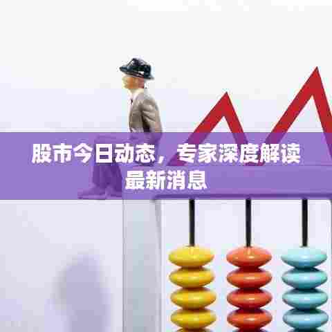 股市今日动态,专家深度解读最新消息