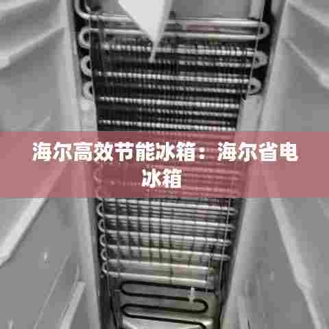 海尔高效节能冰箱:海尔省电冰箱