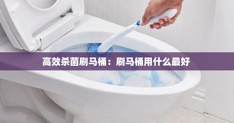 高效杀菌刷马桶:刷马桶用什么最好