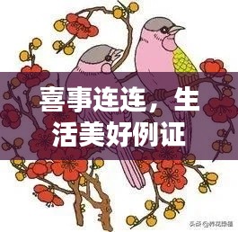 喜事连连,生活美好例证大揭秘
