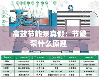 高效节能泵真假：节能泵什么原理 