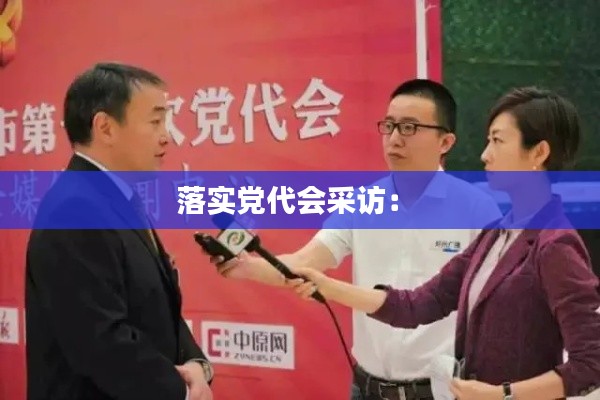 落实党代会采访: