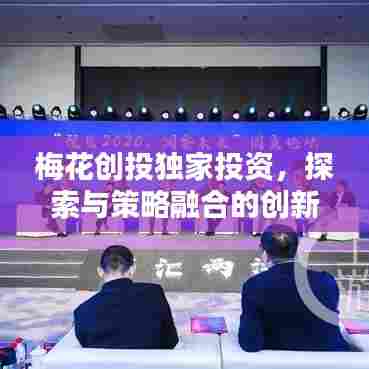 梅花创投独家投资，探索与策略融合的创新之道